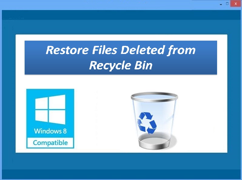 recyclebin com, i accidentally emptied my recycle bin, www recycle bin, accidentally emptied recycle bin, recovery from recycle bin, recycle bin recovery, recycle bin recover